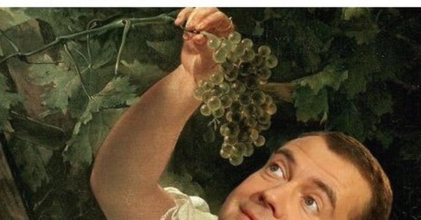 Смуглянка Молдаванка виноград