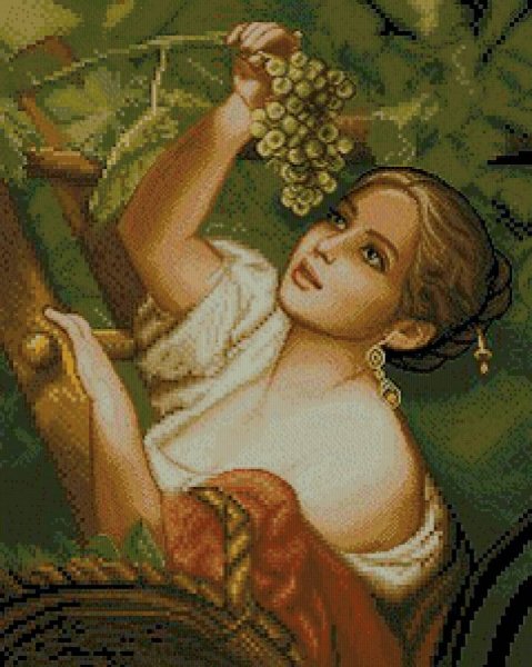 Девушка в винограднике