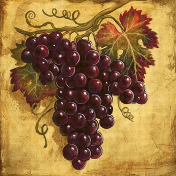 Виноградная лоза плетущаяся