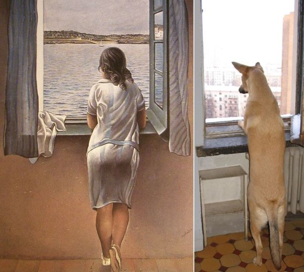 Луна в окне