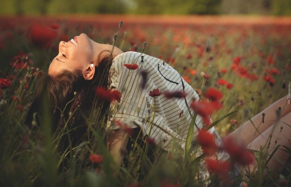 Девушка в маковом поле