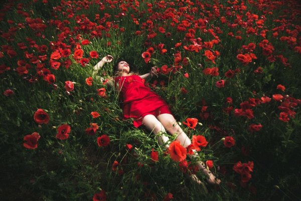 Девушка в маковом поле