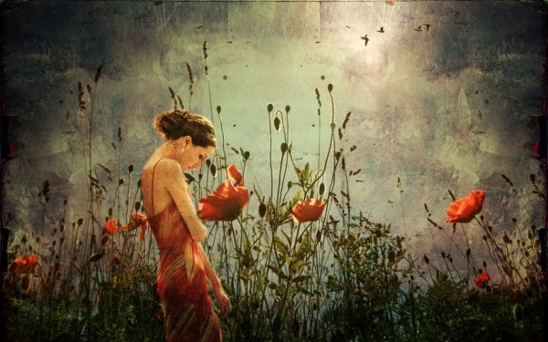 Девушка в поле с маками живопись