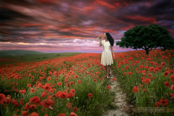 Маковое поле фотосессия