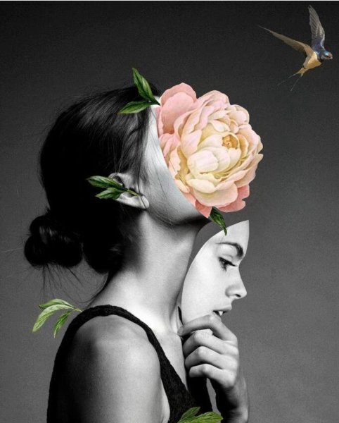 Эми Джадд картины