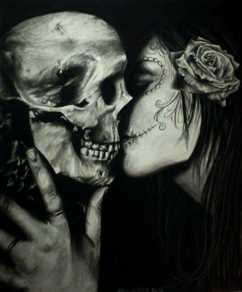 Череп лошади