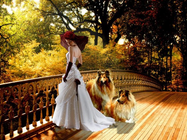 Девушка с собачкой в парке