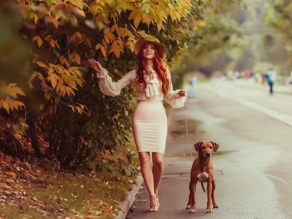 Симонова Ольга Георгиевна картины художника