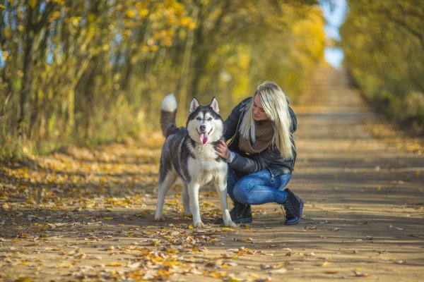 Художник Александр Аверин картины