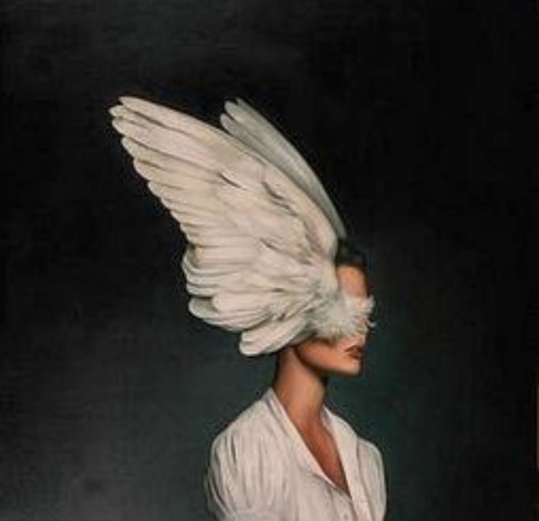 Amy Judd картины