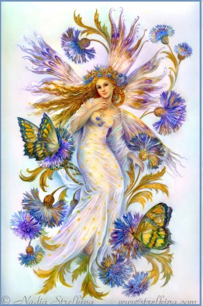 Надежда и отчаяние