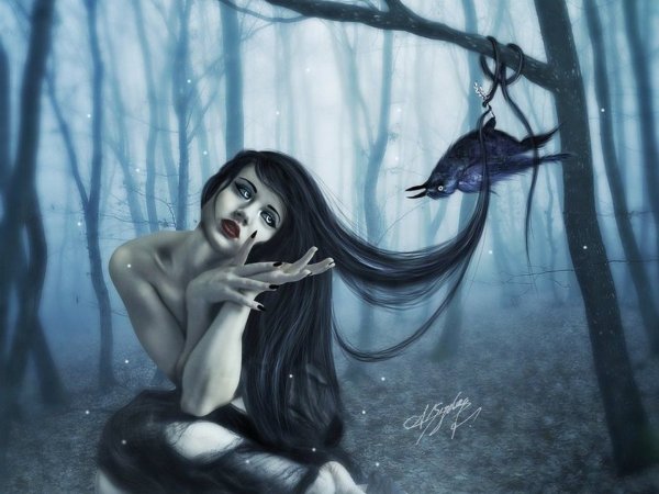 Картины художника Karol bak