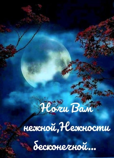 Чудесной ночи сладких снов