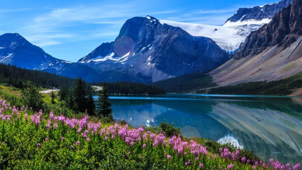 Цветущие пейзажи