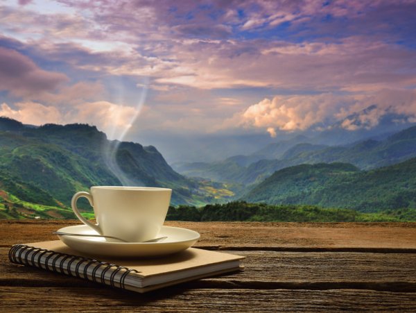 Красивое утро