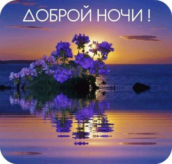 Спокойной ночи хорошего отдыха