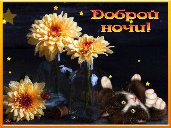 Морские пожелания спокойной ночи