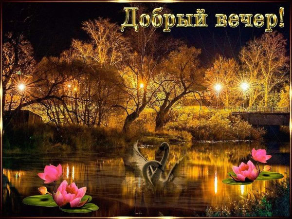 Доброй вам ночи