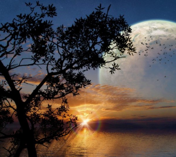 Открытки спокойной ночи