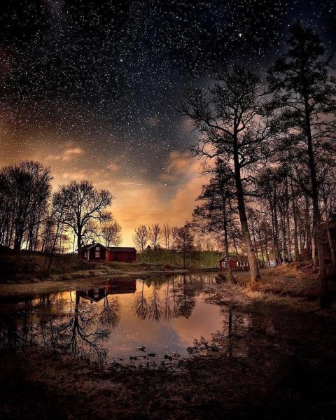 Ночная природа