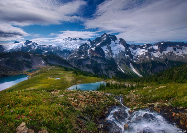 Фото марка Адамуса