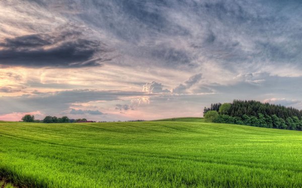 Природа поле