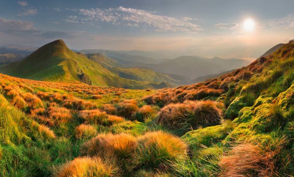 Коржонов Даниил пейзажи