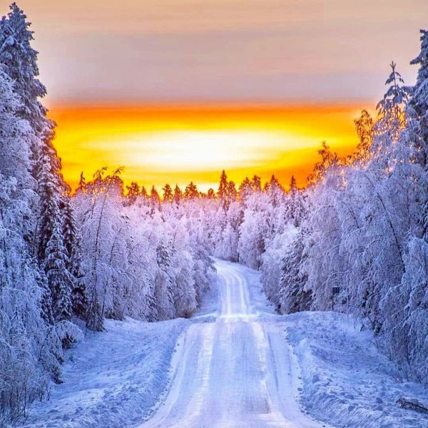 Зимняя природа