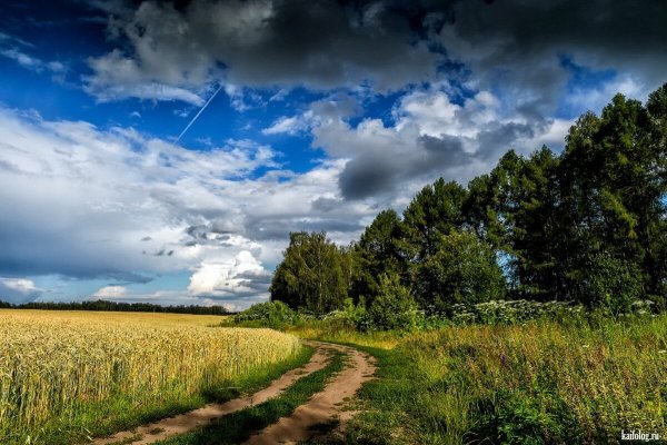 Русское поле