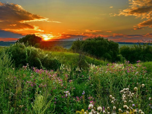 Русская природа