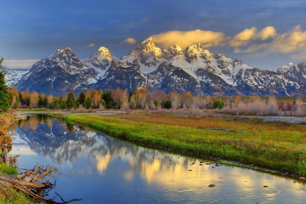 Летний пейзаж