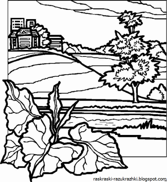 Раскраска джунгли для детей