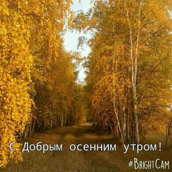 Осень река солнце