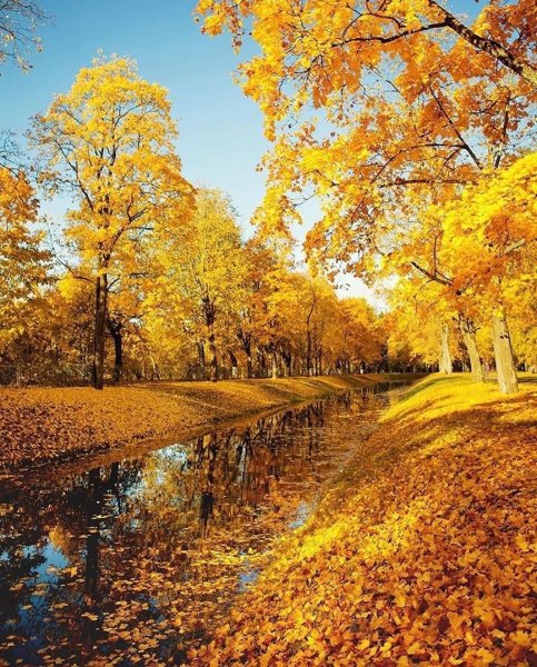 Осень дивная пора