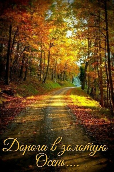 Доброе сентябрьское утро