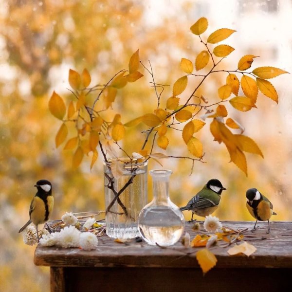 Уютные картины