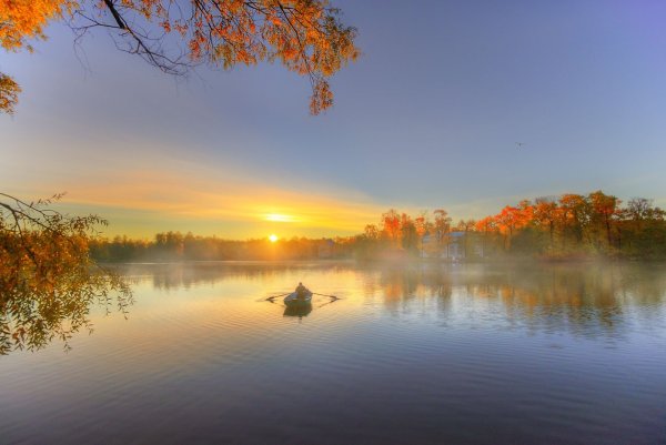 Фотообои осень