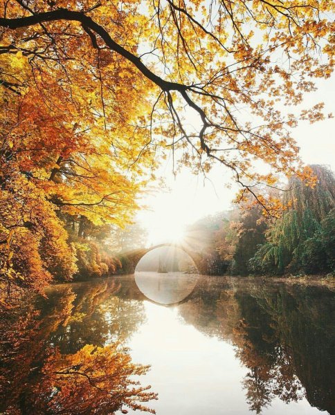 Осенний зонтик