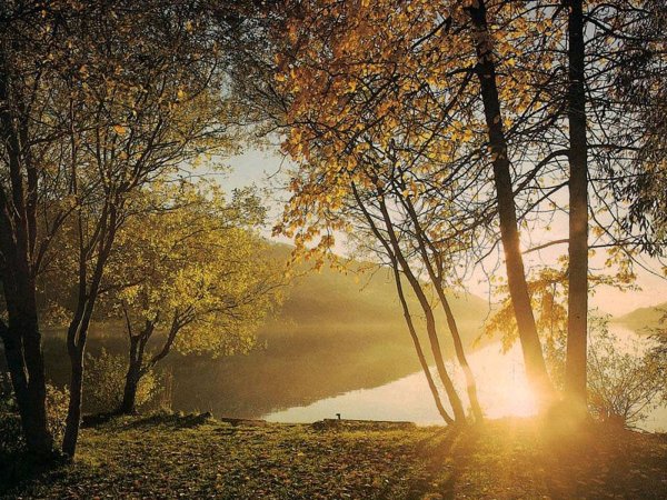 Пейзаж с рябиной