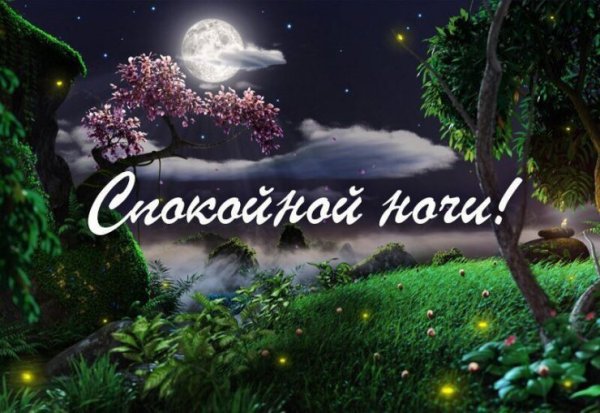 Спокойной летней ночи