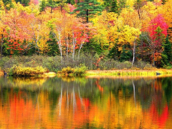 Пейзаж осени