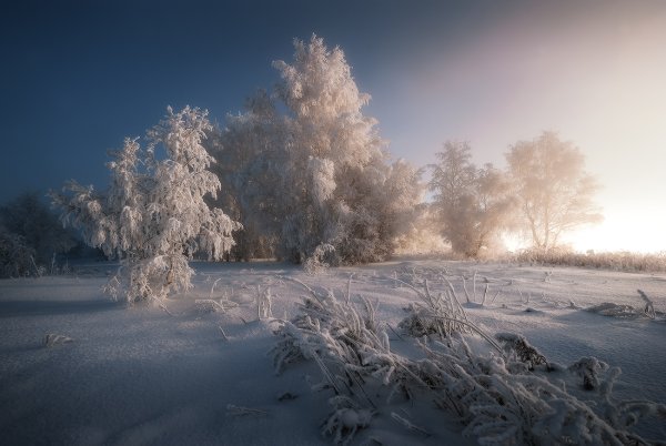 Декабрь пейзаж