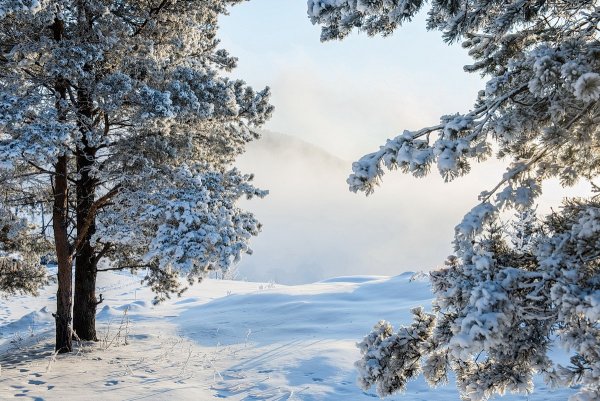 Зимний Солнечный морозный день