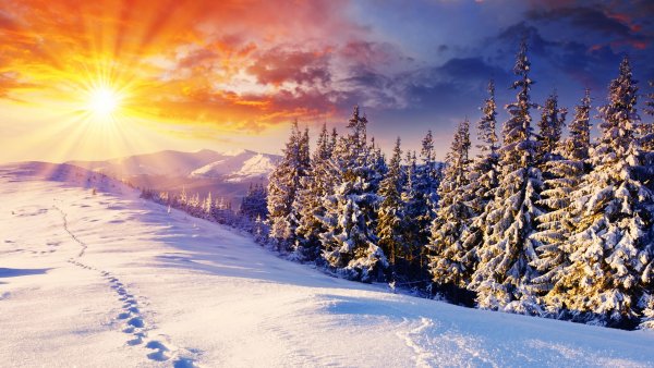 Солнечный зимний день