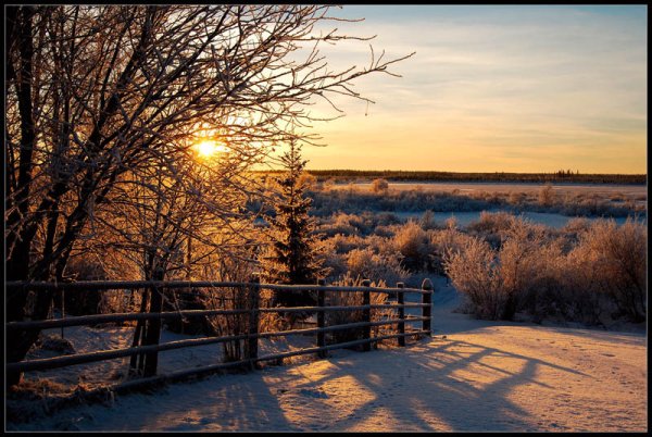 За околицей зима