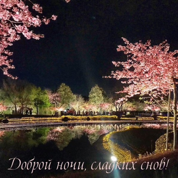 Доброй ночи сладких снов