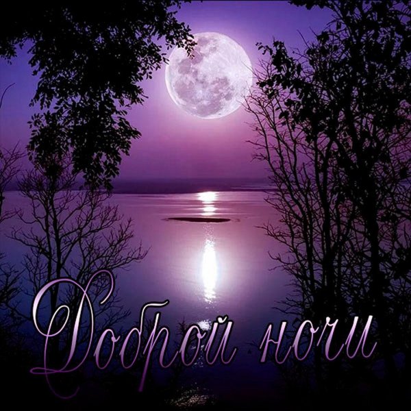 Сладких снов природа