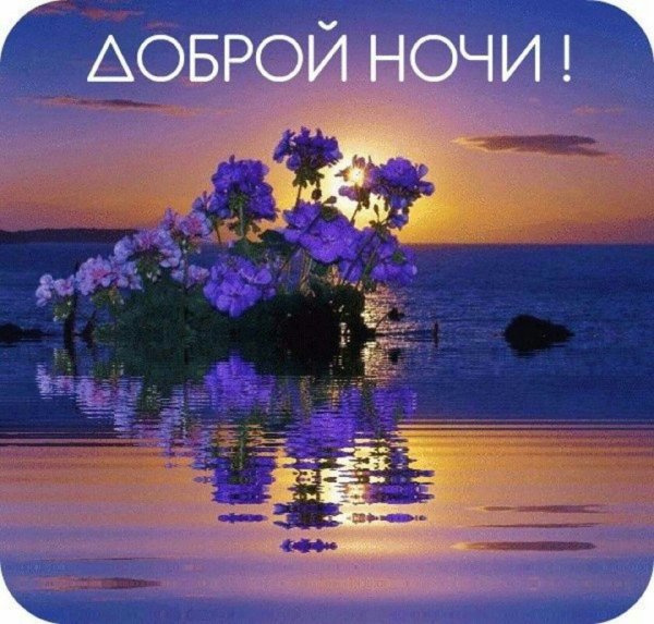 Доброй ночи друзья
