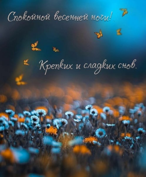 Спокойной весенней ночи с пожеланиями