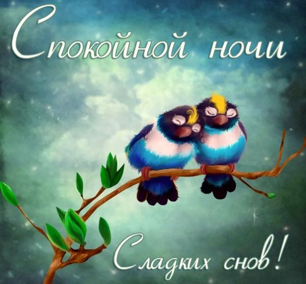 Прекрасных снов